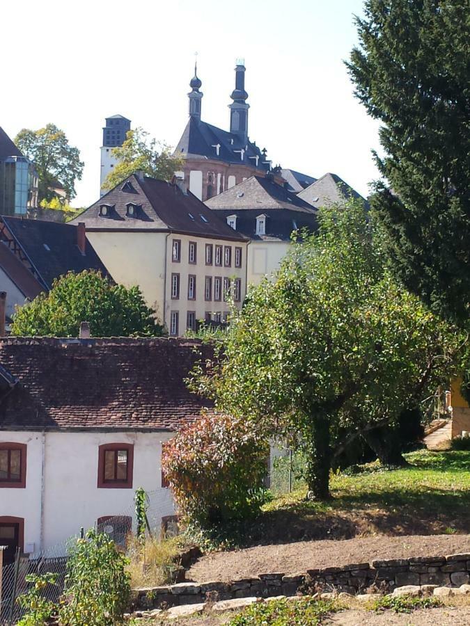 Moderne Wohnung In Barockem Altstadthaus Nahe Altstadt Und Radweg Blieskastel Exterior foto
